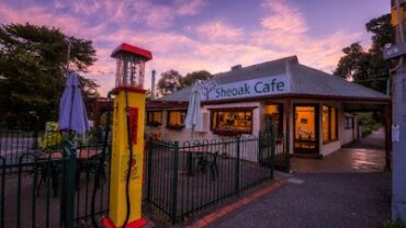 Sheoak Cafe Belair