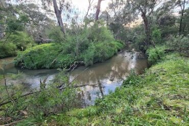 Shepherds Bush Wantirna South