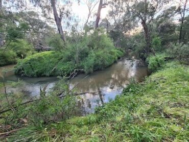 Shepherds Bush Wantirna South