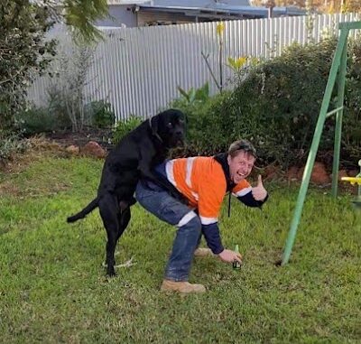 Shepherdson Park, Dog Exercise Area Kalgoorlie