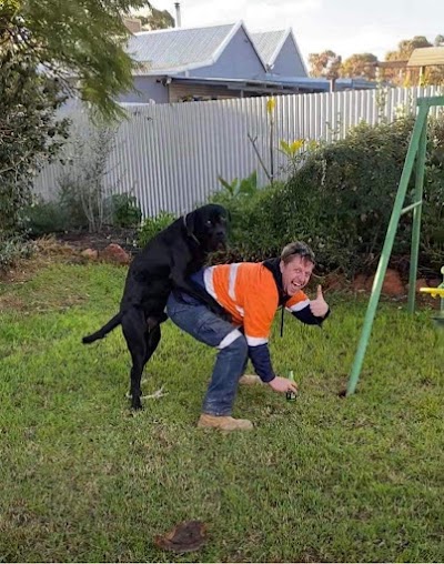 Shepherdson Park, Dog Exercise Area Kalgoorlie