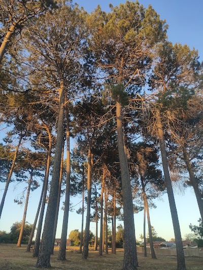 Shepperton Road Reserve East Victoria Park