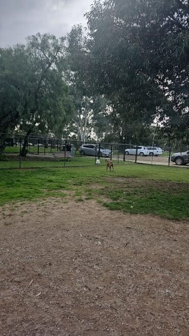 Small Dog Park Mawson Lakes