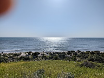 Snapper Point Aldinga Beach