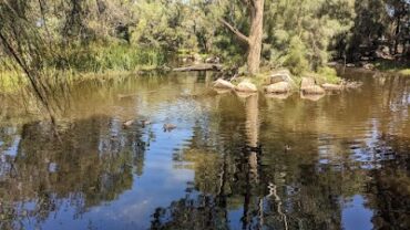 Steen Bird Park Pooraka