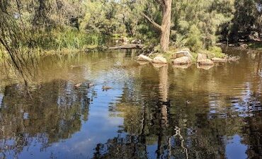 Steen Bird Park Pooraka