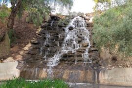 Stockade Botanical Park Modbury Heights