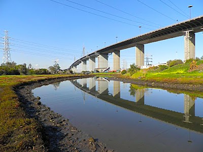 Stony Creek Reserve Yarraville