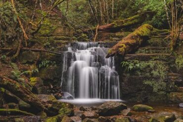 Strickland Falls South Hobart