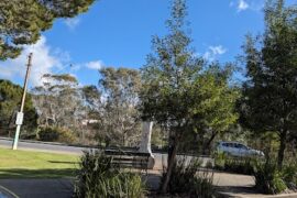 Sunter Street Pocket Park Strathalbyn (SA)