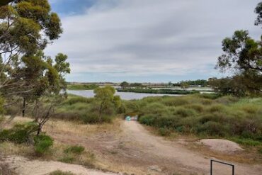 Swanport wetlands Murray Bridge