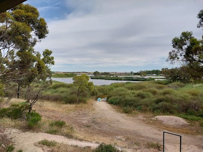 Swanport wetlands Murray Bridge