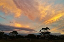 Symonds Reserve Aldinga Beach