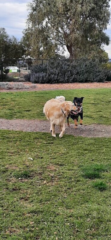 Symonds Reserve Dog Park Aldinga Beach