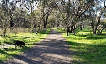 Tangari Regional Park Woodcroft (SA)