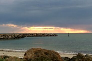 Tarniwarra Reserve Glenelg North