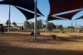 Tatterson Park Keysborough