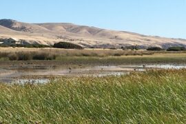 The Aldinga Washpool Aldinga Beach