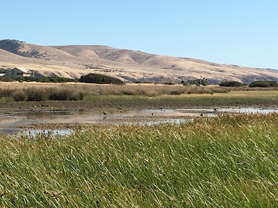 The Aldinga Washpool Aldinga Beach