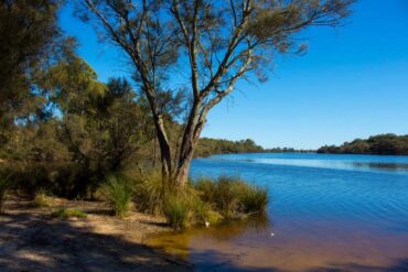 Things to do with Kids in the Suburb of Australind