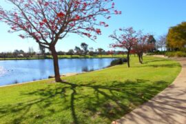 Things to do with Kids in the Suburb of Canning Vale