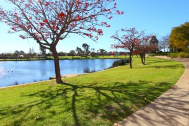 Things to do with Kids in the Suburb of Canning Vale