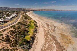 Thomas Street Reserve Aldinga Beach