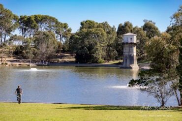 Thorndon Park Reserve Andrews Farm