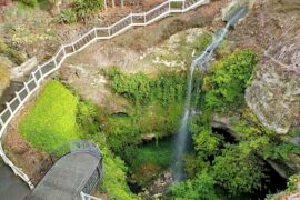 Cave Garden / Thugi Mount Gambier