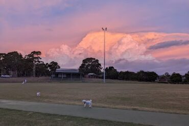 Timber Ridge Reserve Doncaster