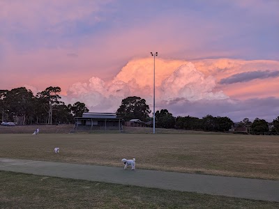 Timber Ridge Reserve Doncaster