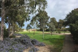 Todd Reserve West Lakes