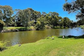 Torrens River Flinders Park