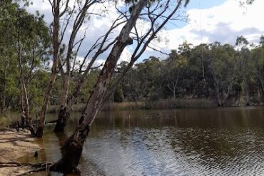 Totness Recreation Park Mount Barker (SA)