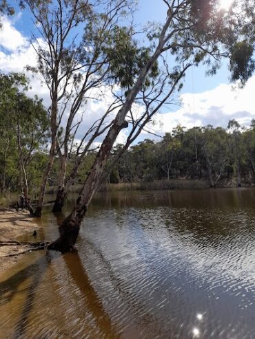 Totness Recreation Park Mount Barker (SA)