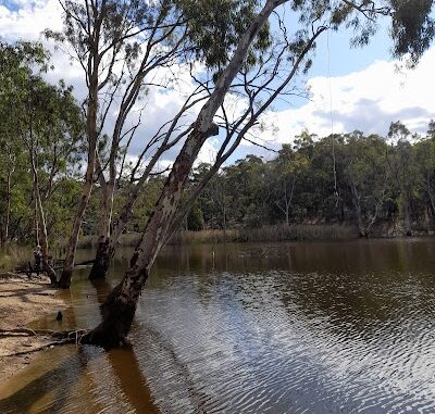 Totness Recreation Park Mount Barker (SA)