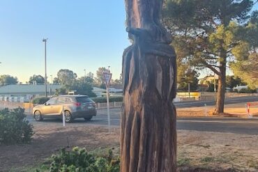 Tree Sculptures Loxton