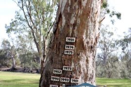 Tree of Knowledge Loxton