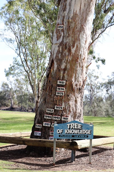 Tree of Knowledge Loxton