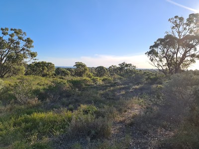 Trigg Bushland Reserve Karrinyup