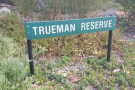 Trueman Reserve Lockleys