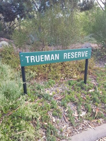 Trueman Reserve Lockleys