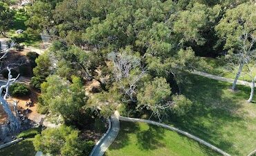 Tuckfield Oval Parkland Fremantle