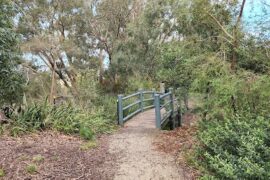 Urban Forest Reserve Malvern East