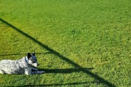 Usher Park Kalgoorlie