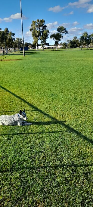 Usher Park Kalgoorlie