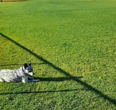 Usher Park Kalgoorlie