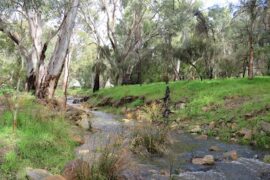 Wadmore Park (Pulyonna Wirra) Athelstone