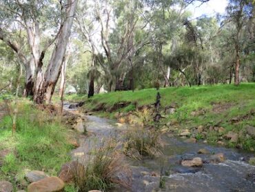 Wadmore Park (Pulyonna Wirra) Athelstone