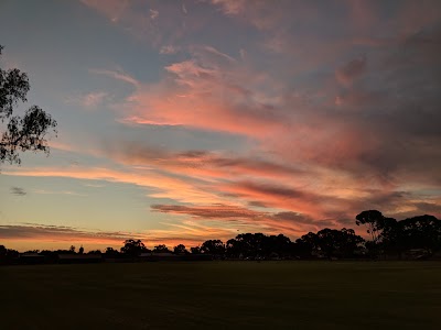 Wallace Park Dog Exercise Area Kalgoorlie